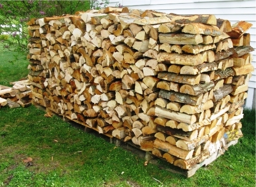 catasta di legna
