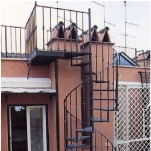 ballatoi e sopplachi B12